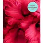 North Atlantic Books Kindle Edition Motivational Growth-0