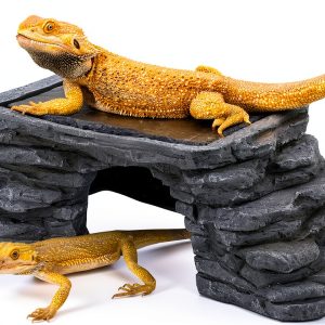 Bearded Dragon Basking Platform REPTI ZOO Rock Hideout Thermal Slate-0