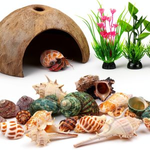 Hermit Crab Shells Natural Coconut Hut and Plants Set by QUOZUO 22pcs-0
