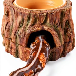 CAVACHEW Reptile Hide Cave 3-in-1 with Base and Humidity Dish-0