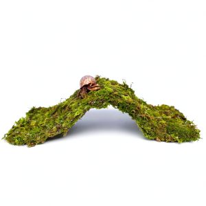 Hermit Crab Climbing Toys, 13.5 inch Bendable Climbing Bridge, Ideal Hermit Crab Supplies for 10 Gallon Hermit Crab Tank-0