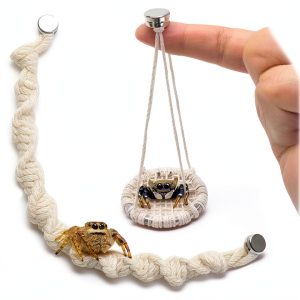 2 Pack Jumping Spider Rope Bridge Swings, Natural Cotton Rope Handmade Magnetic Mounting Jumping Spider Accessories for Medium Jumping Spider Enclosure-0