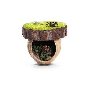 Jumping Spider Hideout Daerky Magnetic Walnut Habitat-0