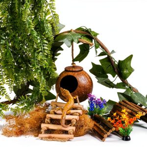 HERCOCCI Crested Gecko Tank Accessories, Reptile Hanging Plants Vines with Coconut Shell Ladder Hideout Hermit Crab Decor for Lizard, Chameleon Cage, Snakes, Hermit Crab, Leopard Gecko-0